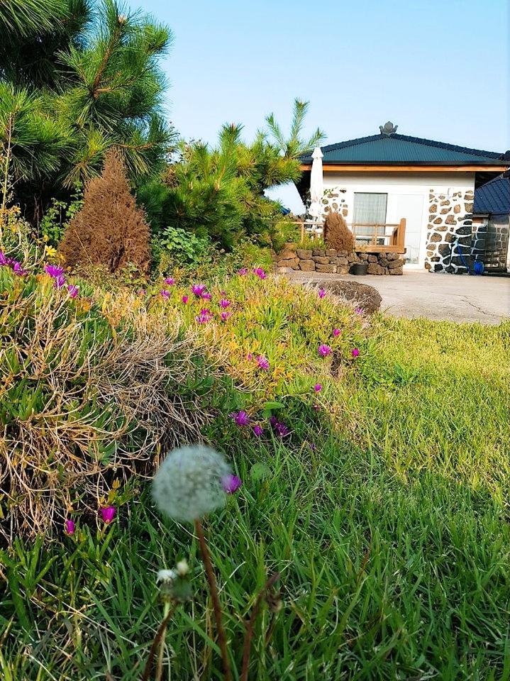 Hadori Mindfulness Villa Jeju Bagian luar foto