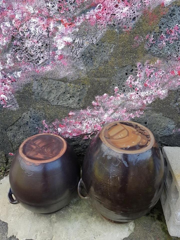Hadori Mindfulness Villa Jeju Bagian luar foto